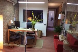 Instituto del estrés