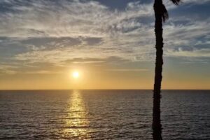 Ínsula Yoga Salud Sur