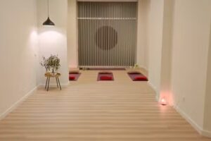 Integral yoga i teràpies