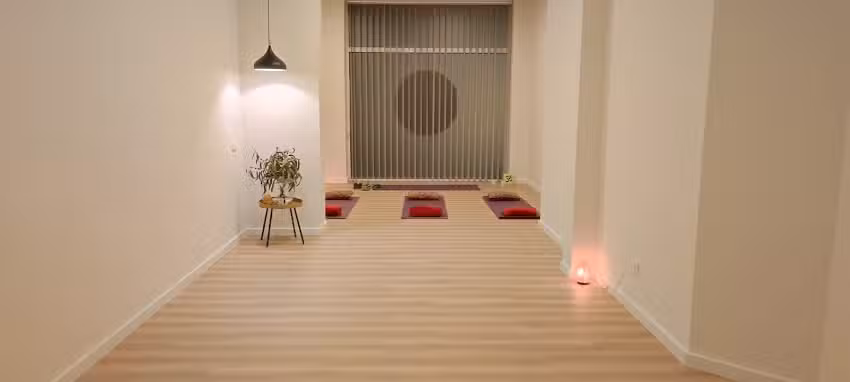 Integral yoga i teràpies