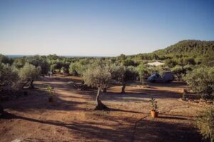 Jardín Privado Casa de las Mariposas