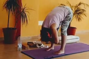 Javea Yoga Studio