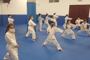 karate club los alcazares