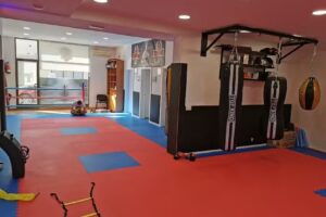 Kickboxing Gannicus Fight Club