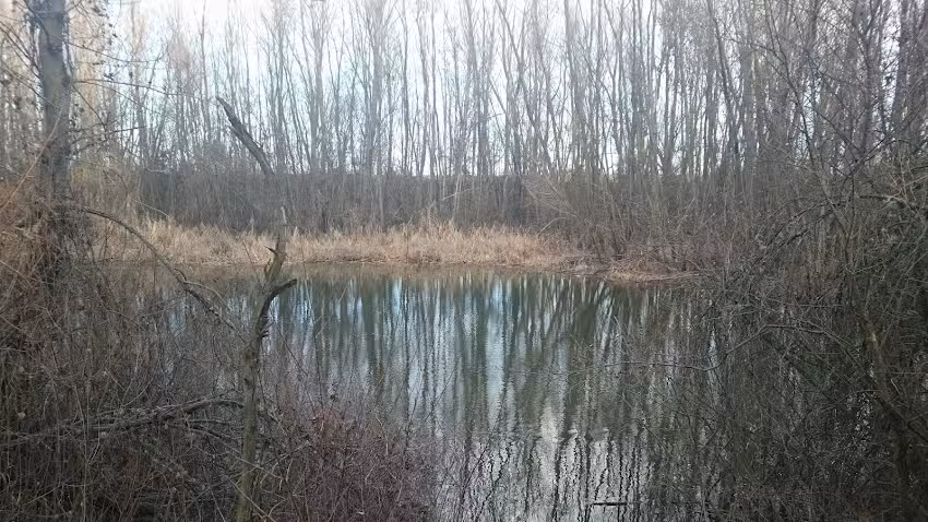 Laguna de valdetorres