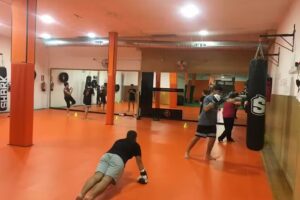 LION FIGHTERS MMA – Artes Marciales Mixtas, Boxeo, Kick boxing, Grappling, Defensa personal.