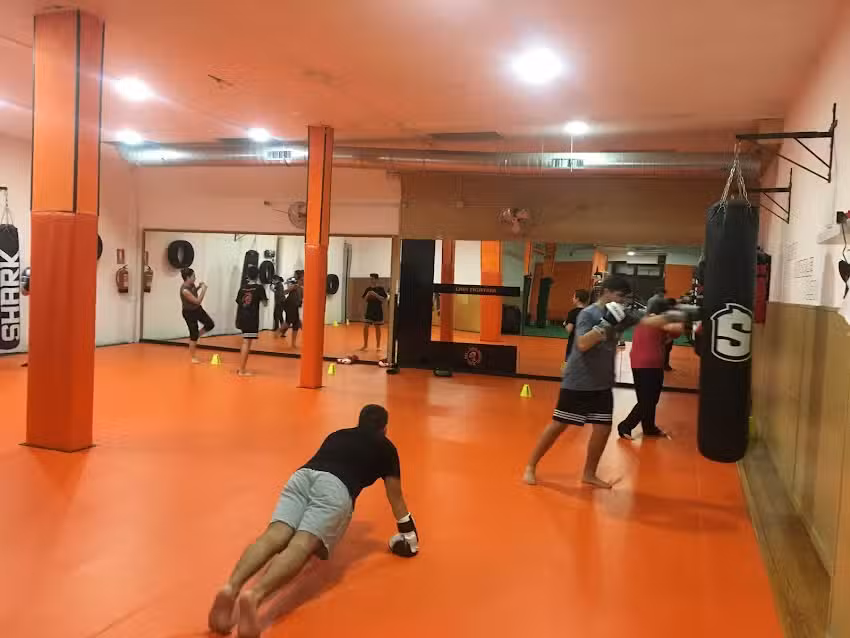 LION FIGHTERS MMA – Artes Marciales Mixtas, Boxeo, Kick boxing, Grappling, Defensa personal.