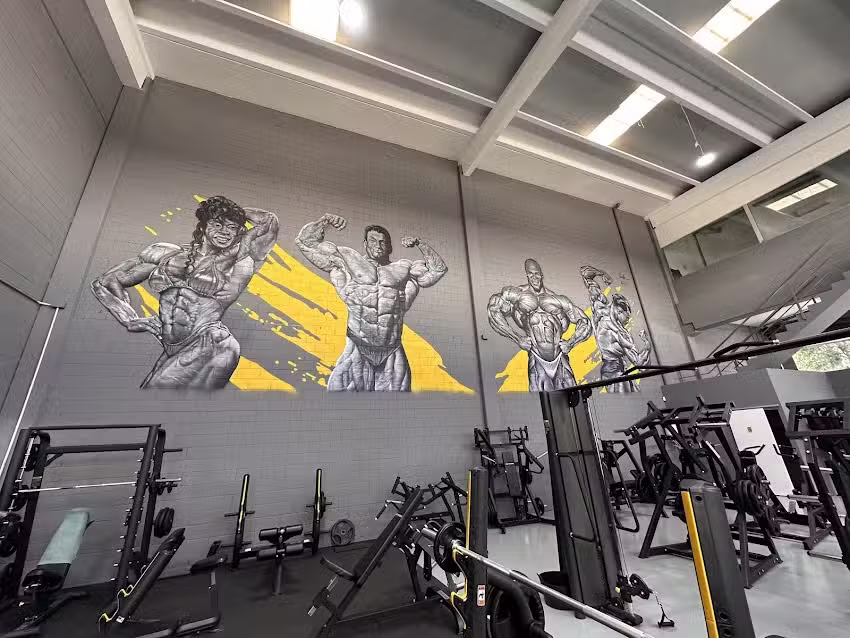 LLINARS PARK BODYBUILDING CENTER