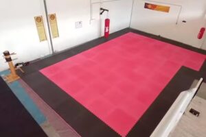 Ludus – Artes marciales y preparación física.