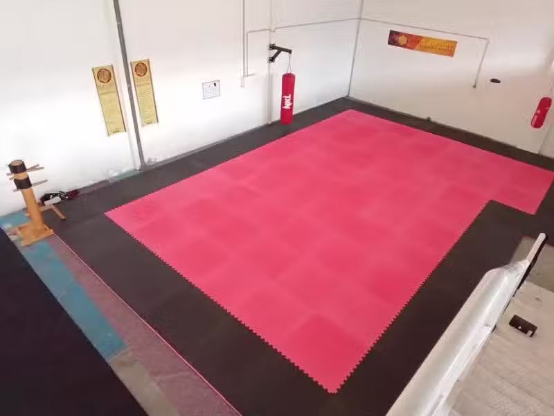 Ludus – Artes marciales y preparación física.