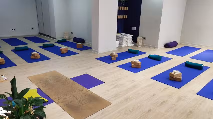 MAHILA IOGA I TERÀPIES