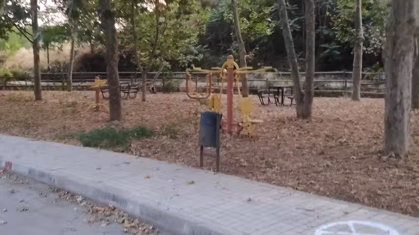 Maquinas de ejercicios del arroyo