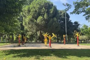 Máquinas Ejercicio (gratuitas)