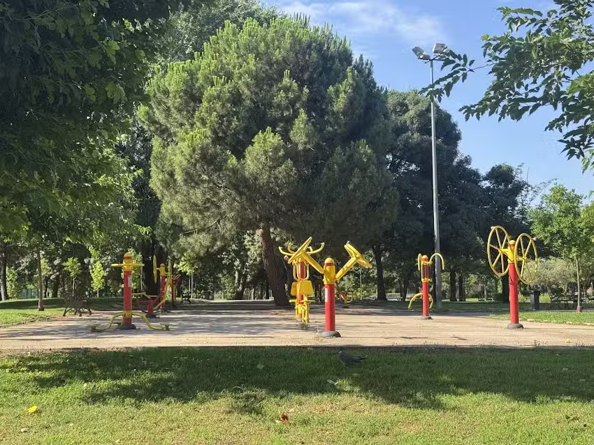 Máquinas Ejercicio (gratuitas)