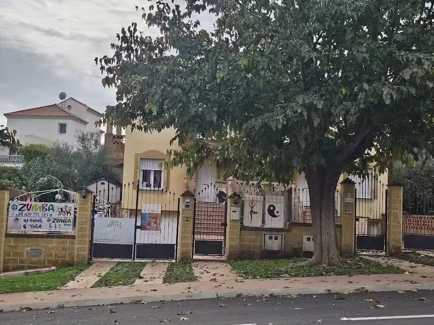 Mau Studio | Zumba & Yoga