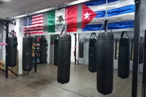 Medina Boxing Club