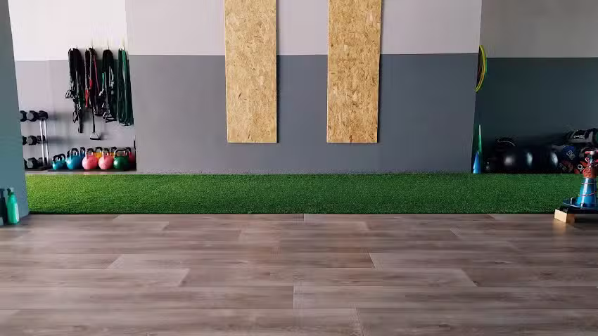 Movimental Entrenamiento