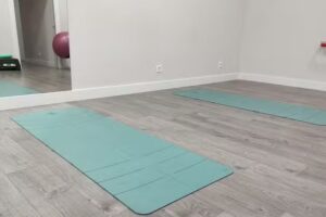 Nare Fisioterapia Osteopatia Zentroa