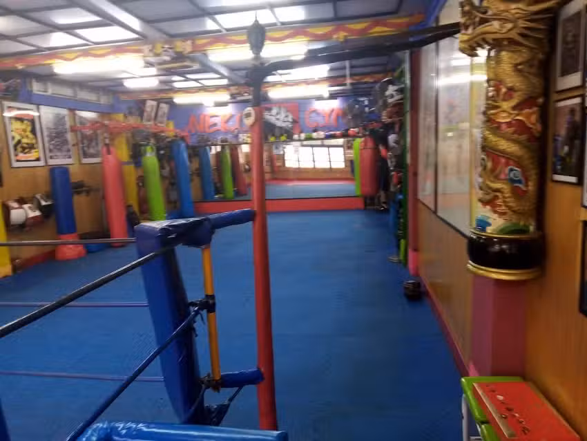 Neko Gym