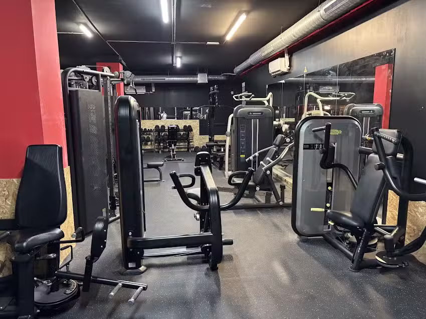 NewFit Gym