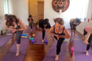 Nicole Stone Yoga – Classes, Retreats & Private sessions