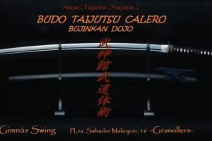 Ninjutsu Granollers(Budo Taijutsu Calero)