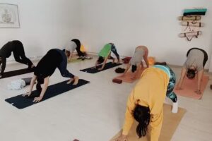 Nirvedam Sala de Yoga