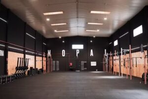 Nopal Salud y Fitness