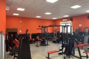 Olympus Fitness GYM
