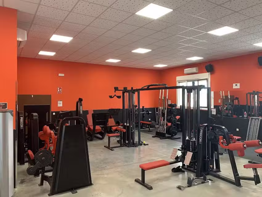 Olympus Fitness GYM