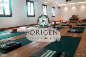 ORIGEN Bienestar Integral | Yoga & Wellness Studio