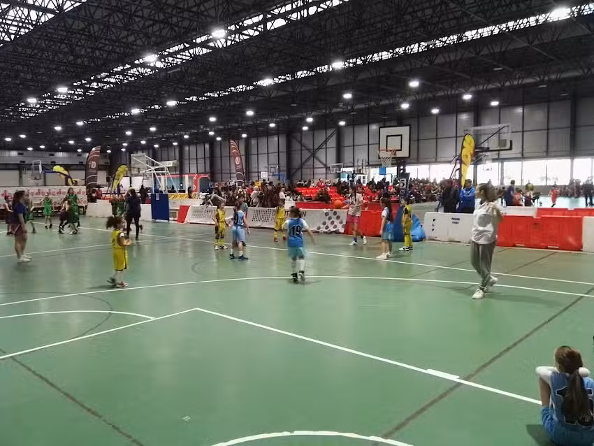 Pabellon David Vidal