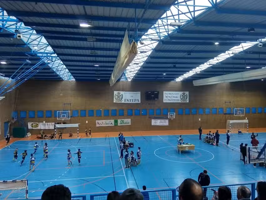 Pabell&oacute;n de Deportes Rafa Baena