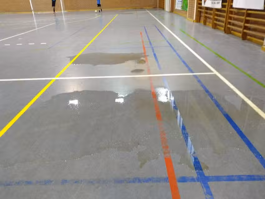 Pabellón deportivo Alex Yepes