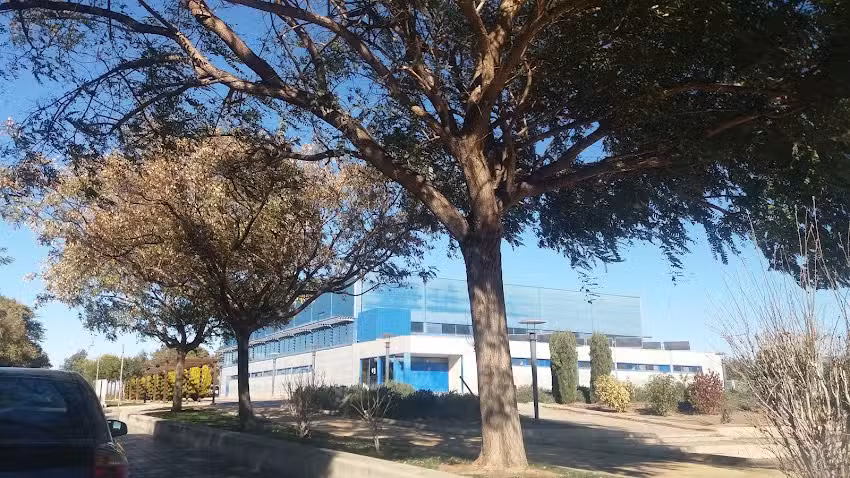 Pabellón Deportivo «Vicente Ortega Vila»