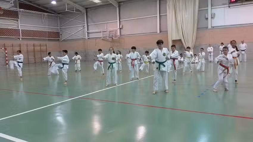 Pabellón Javi García