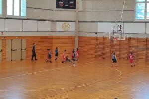 Pabell&oacute;n Maristes Gerona