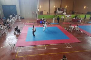 Pabellón Municipal de Alfambra