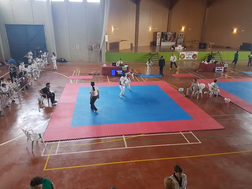 Pabell&oacute;n Municipal de Alfambra