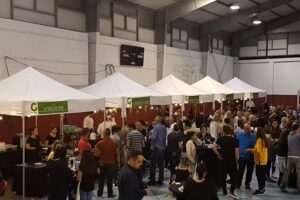 Pabellón municipal de deportes Fernando Luis González