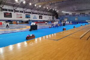 Pabellon Municipal Príncipe de Asturias