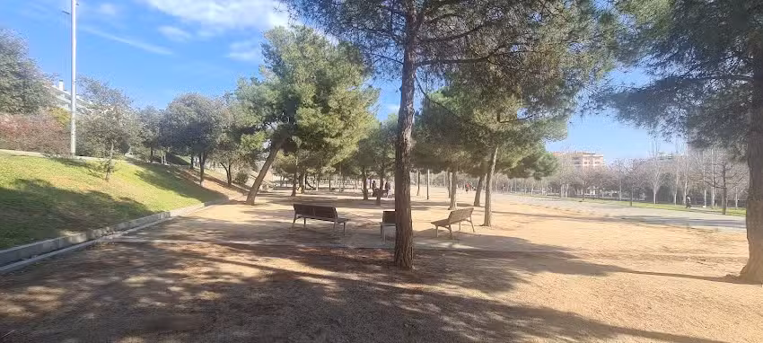 Parc de cal&middot;list&egrave;nia Parc Central