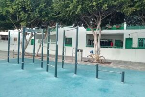 Parque de barras, Calistenia