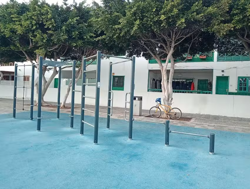 Parque de barras, Calistenia