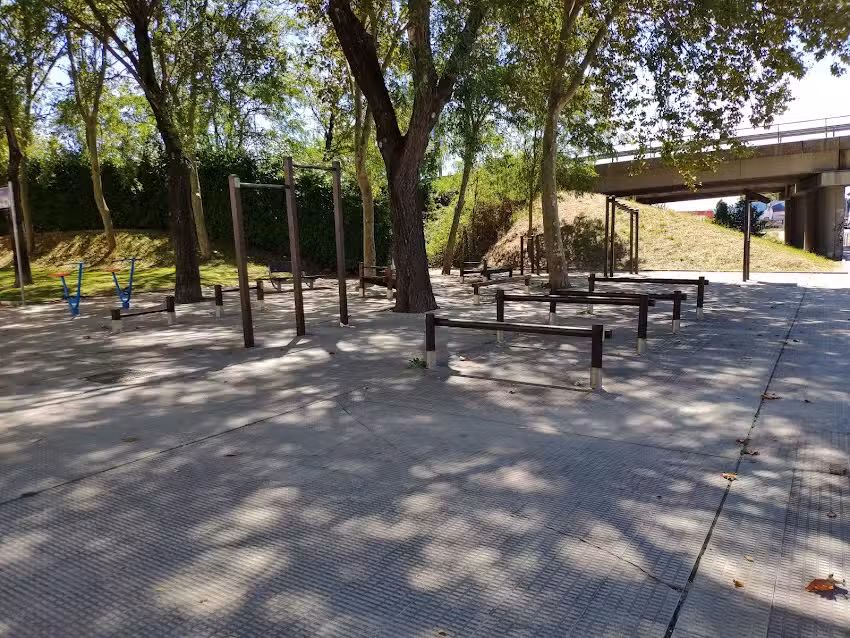 Parque de Barras de Calistenia