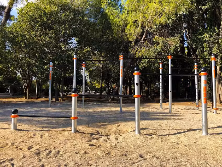 Parque de Calistenia