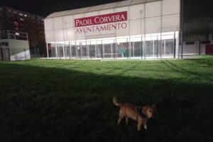 Pista de pádel Corvera