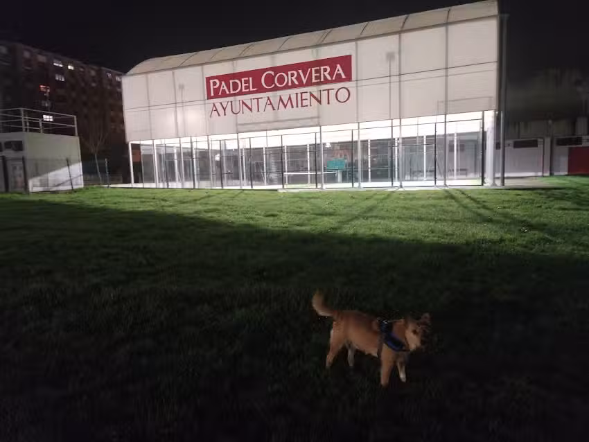 Pista de pádel Corvera