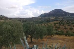 Pistas de Paddle Vereda de las Cruces