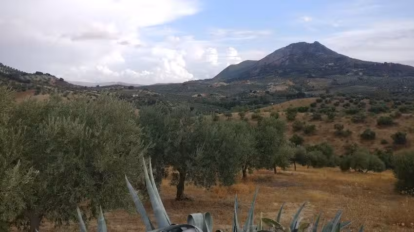 Pistas de Paddle Vereda de las Cruces
